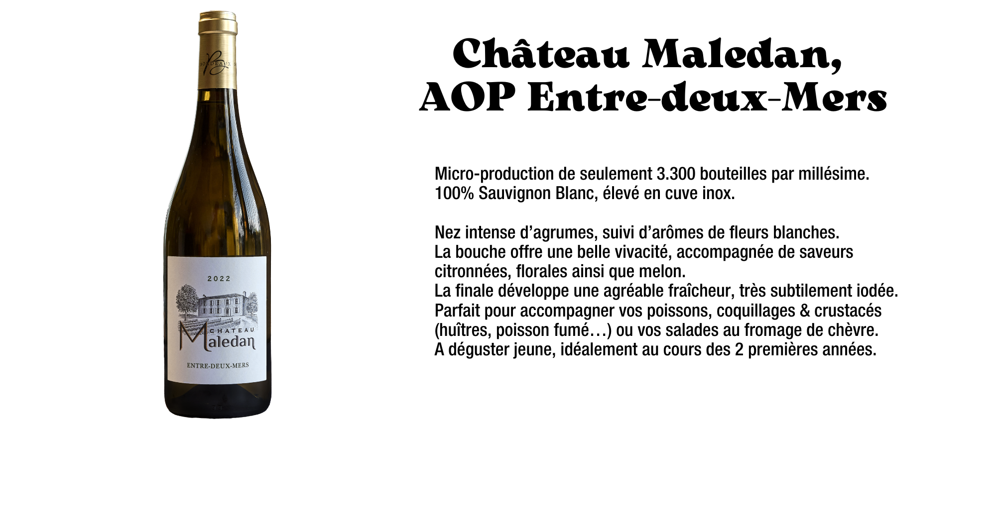 chateau madelan