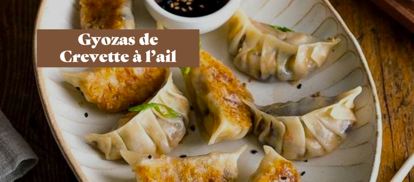 Gyozas de Crevette à l’ail !